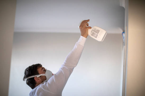 Best Mold Damage Repair  in Audubon Park, NJ