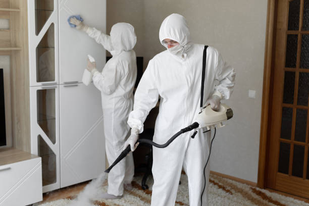 Best Same-Day Mold Removal  in Audubon Park, NJ