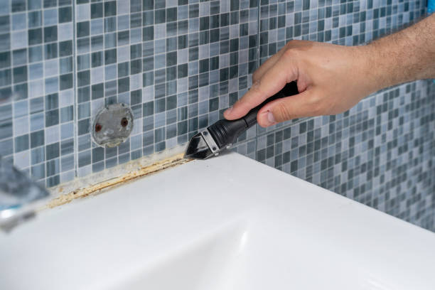 Mold Removal Process in Audubon Park, NJ