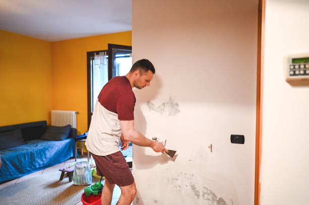 Best Water Damage Restoration  in Audubon Park, NJ